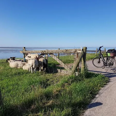 N1 Haus Mit Fussbodenheizung In Eckwarderhoerne By Interhome Casa vacanze Grosswurden